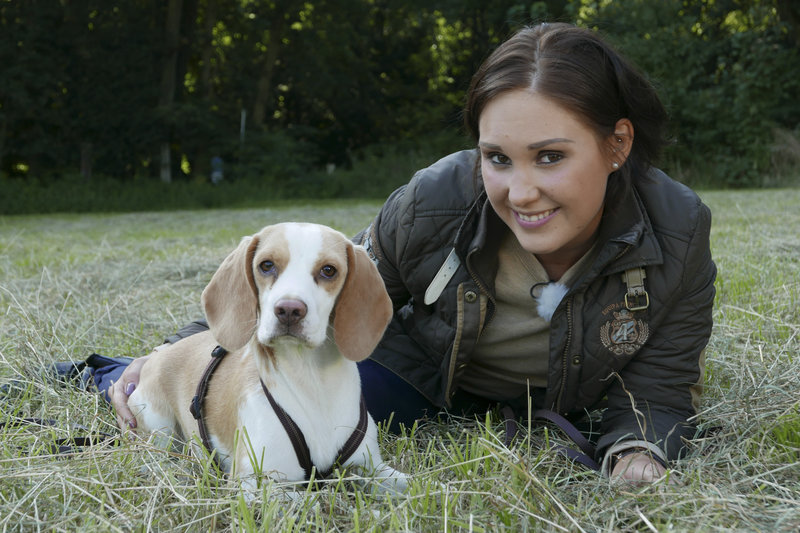 der haustier check bilder tv wunschliste der haustier check bilder tv wunschliste