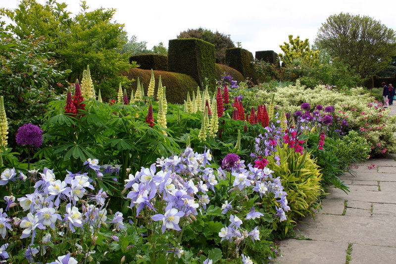 Englands schönste Gärten Bilder TV Wunschliste