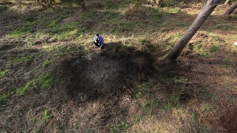 Mysteriöse Phänomene Rätsel von oben News Termine Streams auf TV