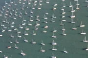 Close-up of sailboats anchored in Monroe Harbor in Chicago