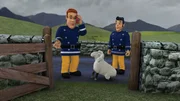 Das Gatter der Schafsweide ist kaputt. Wohin nur mit Wooly?