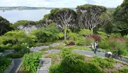 Kristin Lammerting's Palmenschule in Neuseeland mit Blick auf die Pazifikbucht.