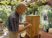 Robert Ripberger vor der Hornissennisthilfe in seinem Garten. Robert Ripberger kämpft seit vielen Jahren für den Schutz von Hornissen.