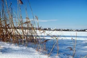Winterlandschaft in Drösing.