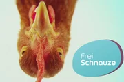 Tiere gehören einfach dazu. Ob Schmusekatze oder Wachhund, ob gerettetes Eichhörnchen oder Meerschweinchen fürs Kind. Die neue Magazinsendung "Frei Schnauze" gibt Tipps zum Leben mit Tieren. Im Bild: Kopf eines Huhns mit Sendungslogo.
