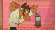 Firts fro mthe right: Taffy the racoon