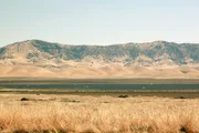 Weizenblondes Gras gehört zum Landschaftsbild des "Obst- und Gemüsegartens der Nation", wie das kalifornische Central Valley auch genannt wird.