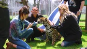 Um sich von ihrer Scheidung abzulenken, besucht Khloé,re. eine Rettungsstation für Großkatzen in Mexico City…
Eddie,MI. Founder President.Kendall,li.