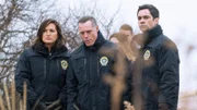 Mariska Hargitay, Jason Beghe, Danny Pino