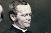 Ein österreichischer Mönch, Gregor Mendel, entdeckte die Grundlagen der Vererbung durch das Kreuzen tausender Erbsenpflanzen.