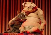 Die Puppen von Michael Hatzius