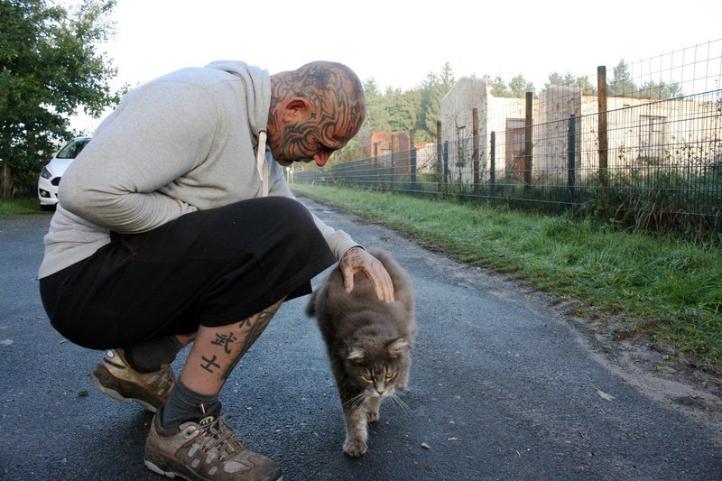 Harte Hunde Ralf Seeger greift ein Bilder TV Wunschliste