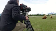 Braunbären ganz nah beim Filmteam.