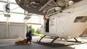 Lawinenhund Chilli und ihr Trainer G??nther ??ben gemeinsam das Abseilen vom Helikopter.