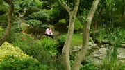 Alan Titchmarsh