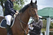 pferd, fahrer, reiten, pferdesport, wettbewerb, dressur
