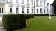 Auch der Bundespräsident hat tierische Nachbarn – Ein Fuchs am Schloss Bellevue.
