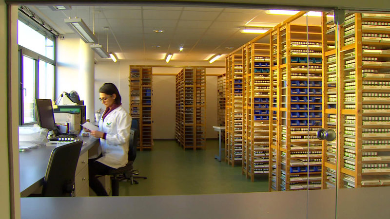 Homöopathie - Nutzen oder Scharlatanerie? (A, 2015)