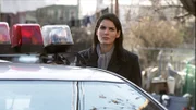 A.D.A. Abbie Carmichael ( Angie Harmon)