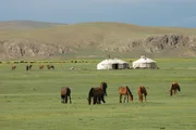 Jurtencamp