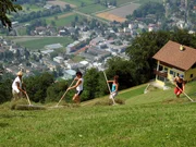 Trotz moderner Maschinen arbeiten die letzten Bergbauern Liechtensteins in den steilen Hängen oft noch wie vor hundert Jahren.