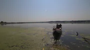 Der Vilstal-Stausee, der zum Schutz vor Hochwasser angelegt wurde und auch der Freizeit und Erholung dient, verkrautet.