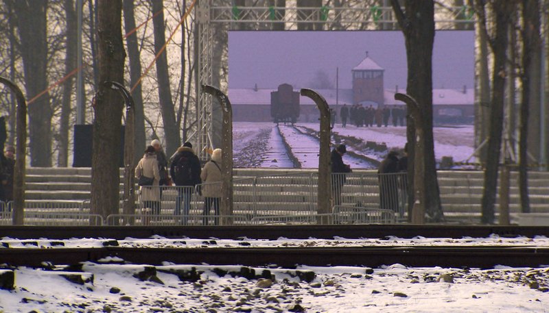Jadę do Auschwitz D, 2015 Transmisje, Daty telewizyjne, Wiadomości, Lista życzeń TV DVD