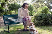 Various roles (David Walliams)