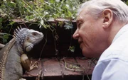 David Attenborough