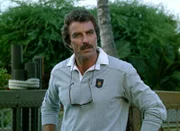 Thomas Magnum (Tom Selleck) will verhindern, da? der entf¸hrte Dephin dazu benutzt wird, die Yacht eines ausl%ndischen Pr%sidenten in die Luft zu jagen.