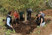 Monty Don (l.) versucht mit einem Team den Baum umzupflanzen.
