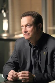 Gary Sinise (Det. Mac Taylor).