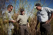 Die Python-Jäger Michael Cole (l.), Shawn Heflick (M.) und Greg Graziani finden in den Glades ein Schlangen-Gerippe.