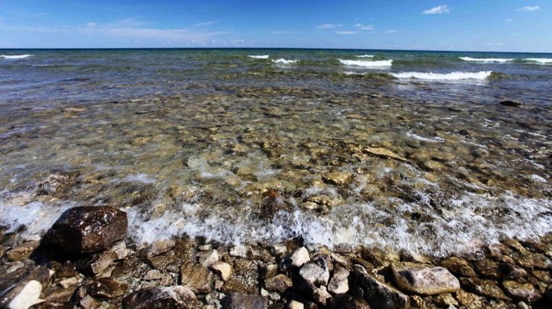 Die Verborgene Welt Stream Die Verborgene Welt Stream