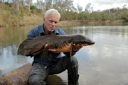 Jeremy Wade with a Lung fish.