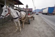 Hunderte von Lkw rasen täglich durch die Hauptstraße von Oituz. Viele Einwohner des rumänischen Dorfes arbeiten oft monatelang in Deutschland, Italien oder Österreich.