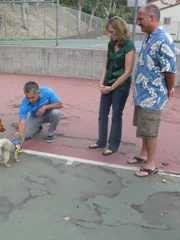 Der kleine Spitz Shoven heult jämmerlich, wenn Debbie (M.) und Barry (r.) ohne ihn in die Arbeit fahren und auch sonst geht er allen mit seinem herumbellen ziemlich auf die Nerven. Kann Cesar Millan (l.) helfen?