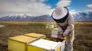 Dustin Dusenberry und Familie bei seinen Bienen.