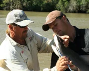 BRISBANE RIVER, BRISBANE, AUSTRALIA: Paul Pockock and Paul Worsteling examine the jaw of a baby shark as they remove the hook from its side.  (Photo Credit: © Hoff Productions)