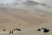 Seit jeher leben Mensch und Tier im Hochland von Tibet harmonisch Seite an Seite. Der Einfluss der Menschen auf die Natur zeigt sich hier bescheiden und minimalistisch.