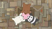 On left: Ice Bear, in middle: Grizzly, on right: Panda