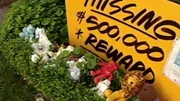 Scene from the documentary Der Mordfall Laci Peterson