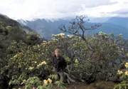 Henry Mix ist erstaunt, als er auf über 4000 Meter Höhe noch riesige Rhododendren findet.