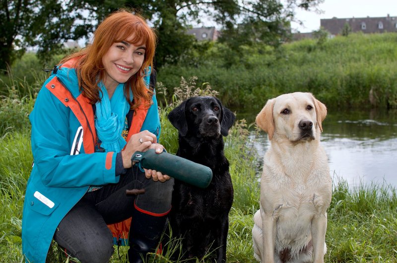 Hundkatzemaus Bilder Tv Wunschliste