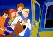 Scooby Doo und seine Freunde - der schlaksige Shaggy, der blonde Freddy, die verwöhnte Daphne und die kleine Velma mit der Brille - fahren mit ihrem Kleinbus durch die Gegend und lösen mysteriöse Fälle.