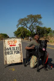 Der blinde Ruger, eine Mischung aus Labrador und Deutschem Schäferhund, gilt als eine der besten Spürnasen in Afrika, im Kampf gegen Wilderei. Jeden Tag geht er in Sambia auf Jagd nach illegalem Elfenbein und geschmuggelten Tieren und Pflanzen.