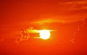der Sonne