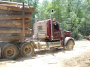 Fourth generation logger Bobby Goodson is one of the rare breed of swamp-loggers working the murky, dangerous swamps of North Carolina in search of high value timber for everything from paper products to construction grade lumber.