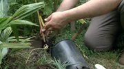 Normalerweise versickern 80 bis 96 % des Wassers, mit dem Bauern ihre Pflanzen gießen, direkt in der Erde. Doch dank eines neuen Granulats soll es bald besser aufnehmen werden können.