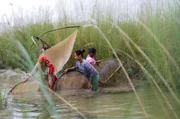 Tharu-Frauen beim traditionellen Fischen